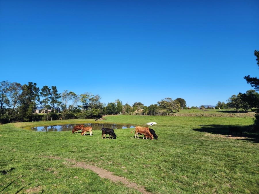 Commercial Property for Sale in Wilderness Rural Western Cape